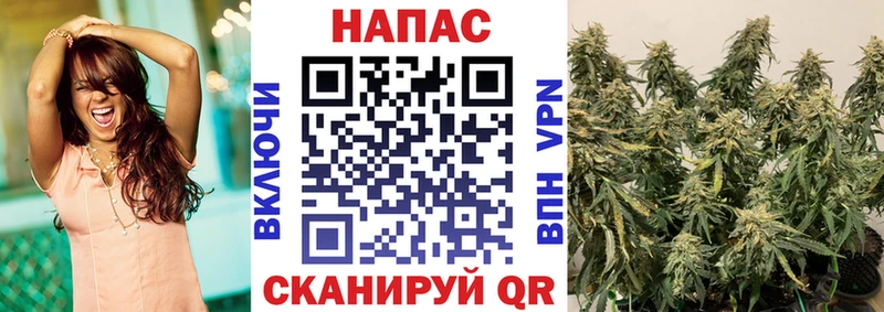 Наркотические вещества Всеволожск Гашиш  Бошки Шишки  КОКАИН  МЕТАДОН  Меф мяу мяу 