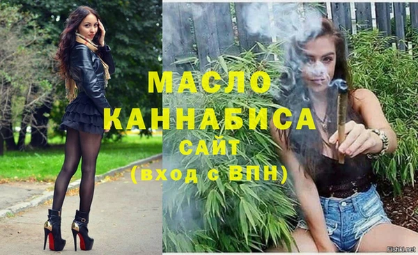 молекула духа Волоколамск