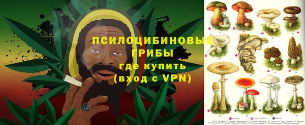молекула духа Волоколамск