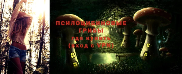 молекула духа Волоколамск
