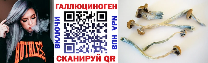 Галлюциногенные грибы Psilocybine cubensis Всеволожск