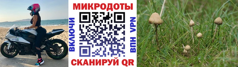 Псилоцибиновые грибы мухоморы  Всеволожск 